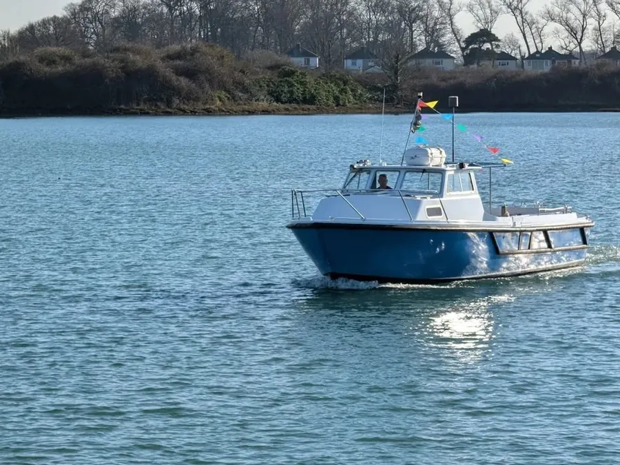 Hayling Boat Trips: Seal Watching in Chichester Harbour