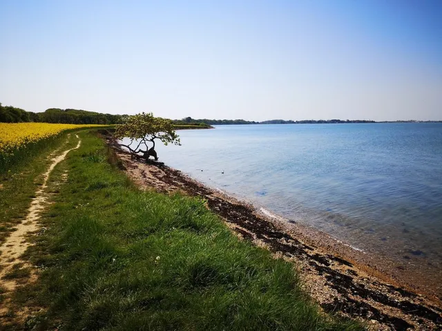 The Hayling Billy Trail