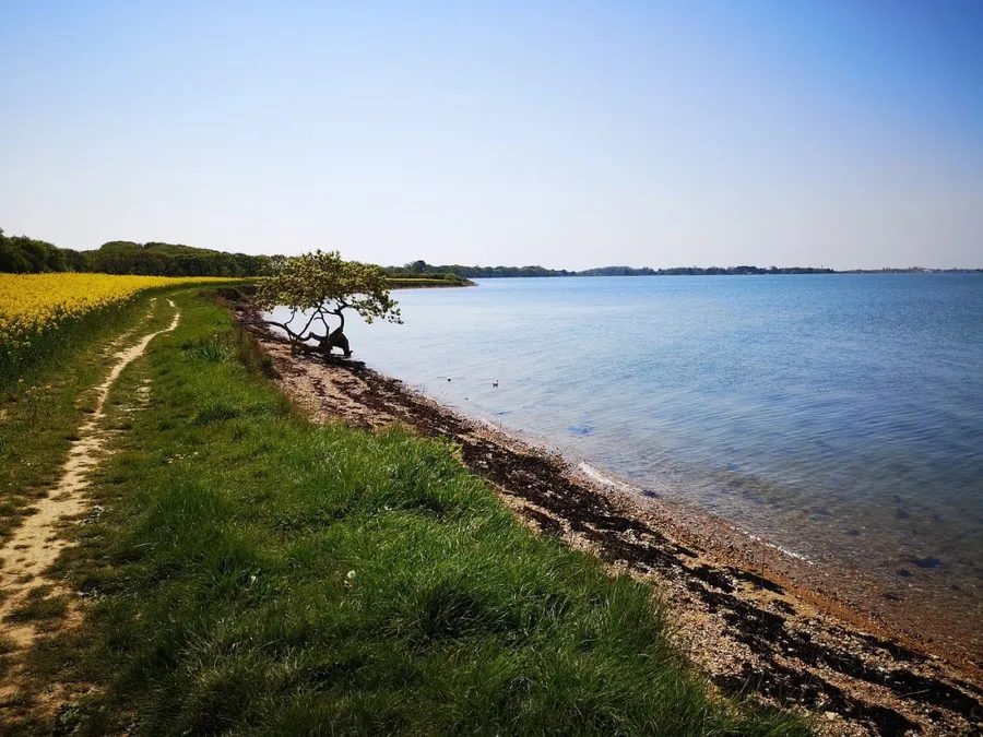 The Hayling Billy Trail