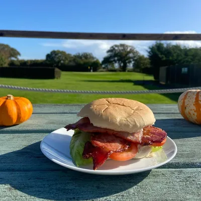 Bacon, lettuce and tomato sandwich