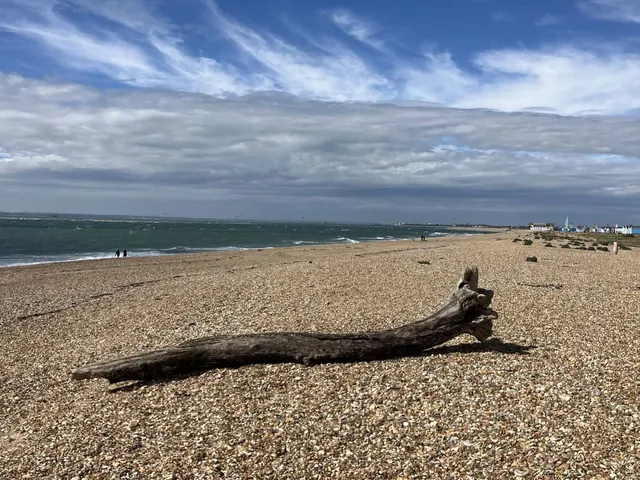 Weathered log resting on the shingle beach at Beachlands, Hayling Island